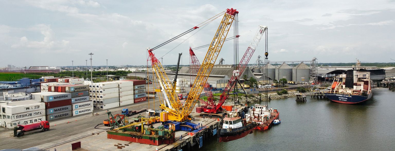 Cover del sector de carga general con servicios de transporte especializado